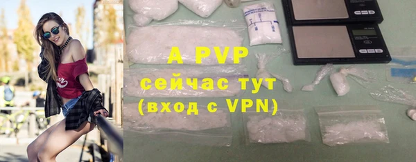 стаф Баксан