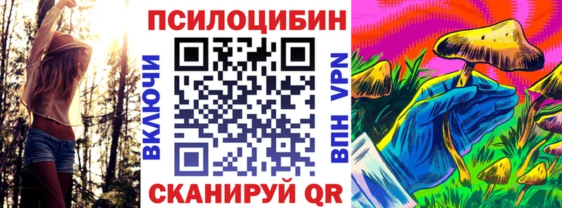 Галлюциногенные грибы Psilocybine cubensis  как найти наркотики  Новоаннинский 